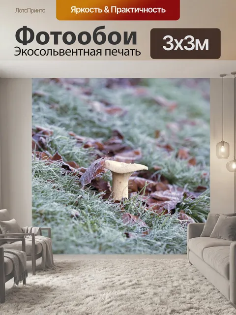 Фотообои грибы