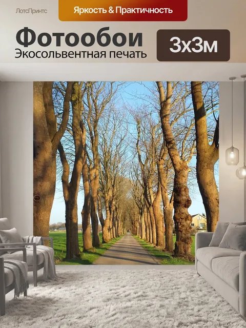 Фотообои Дорога