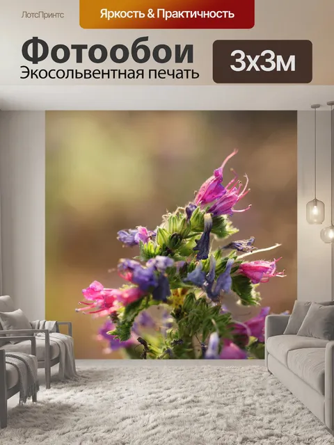Фотообои Полевой цветок