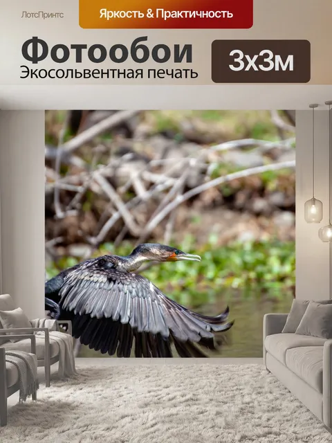 Фотообои Птица
