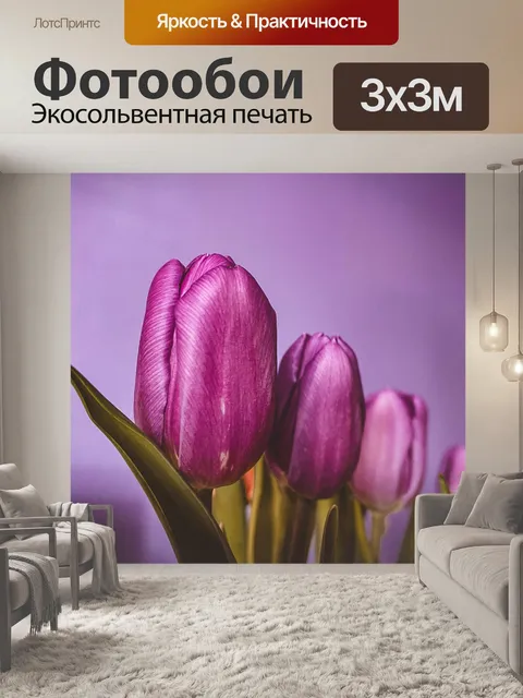 Фотообои Тюльпаны