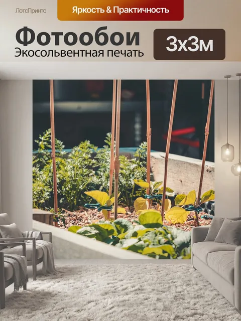 Фотообои Самосовершенствование