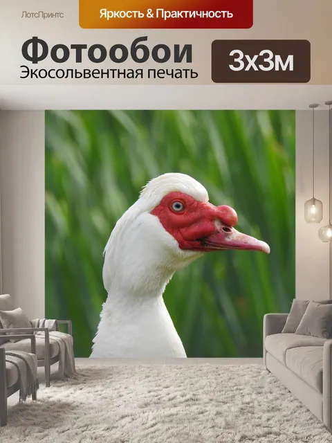 Фотообои Природа