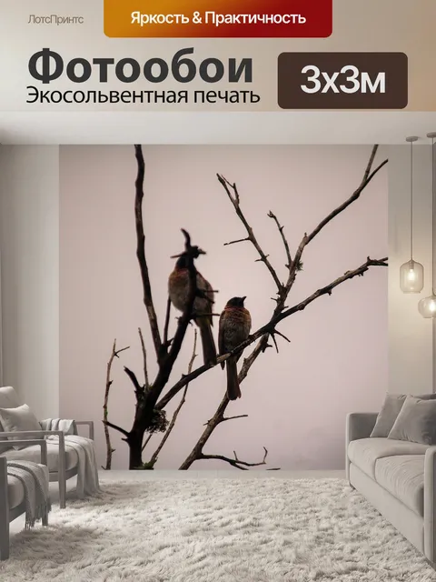 Фотообои Птицы