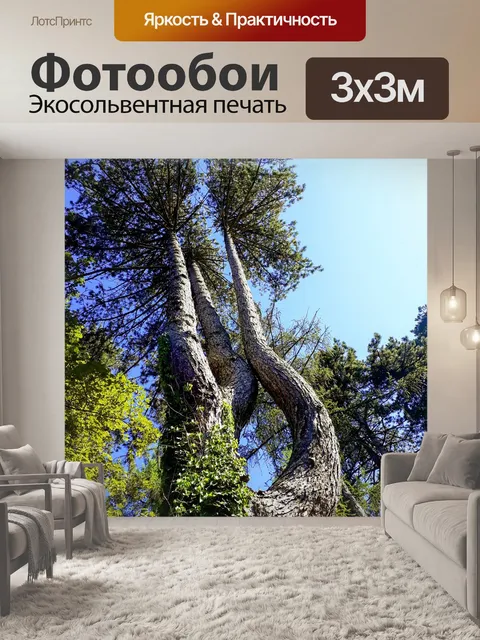 Фотообои Деревья