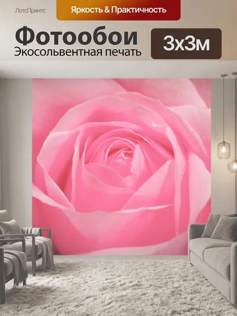 Фотообои Розовый цветок розы