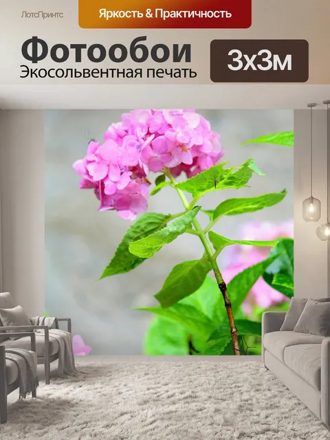 Фотообои Гортензия
