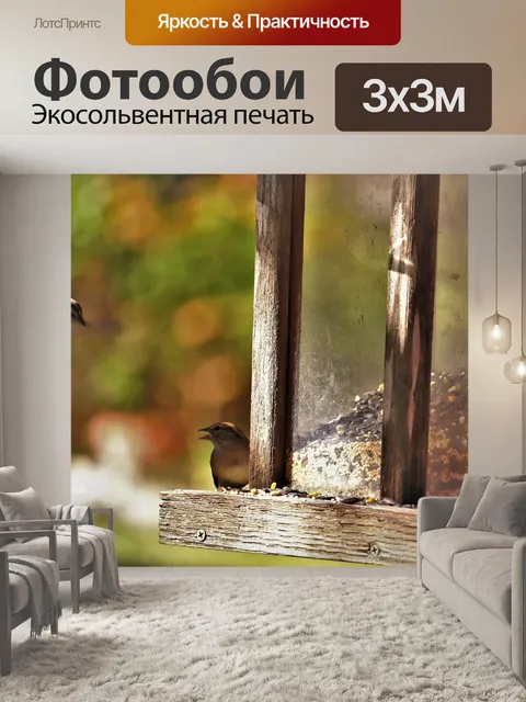 Фотообои Птицы