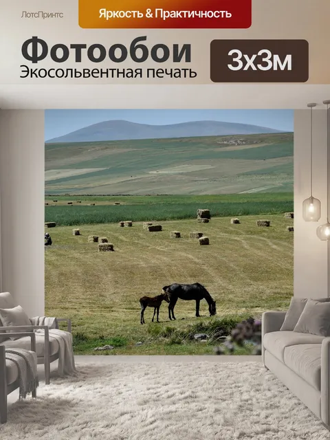 Фотообои Лошадь