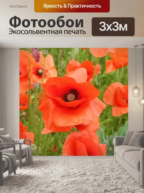 Фотообои Маки