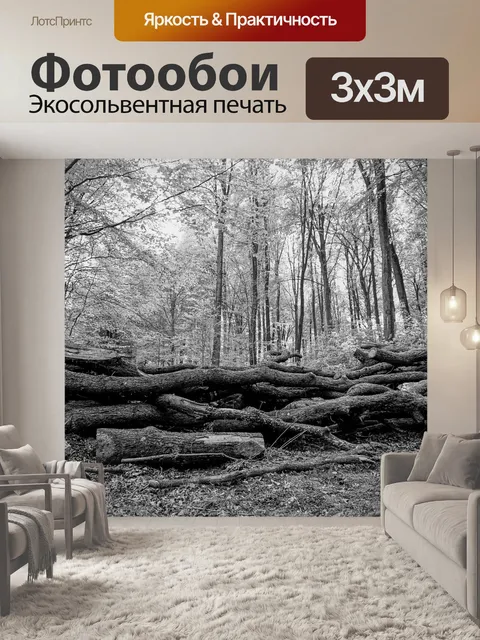 Фотообои Черно-белый