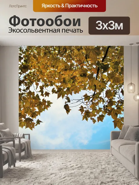 Фотообои платан осенью
