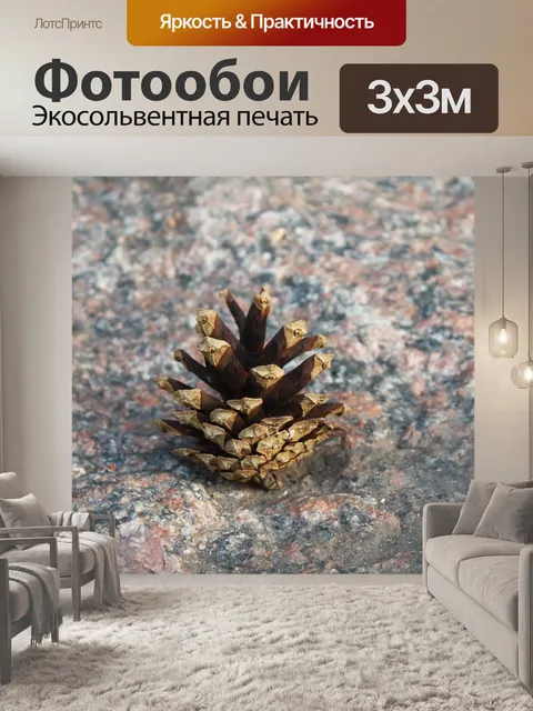 Фотообои Шишка