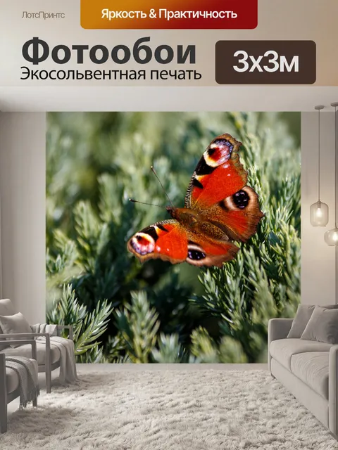 Фотообои Садовая бабочка