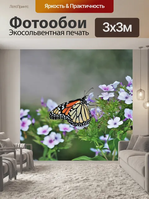 Фотообои Монарх Баттерфляй на фиолетовых цветах