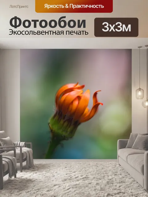 Фотообои Цветок