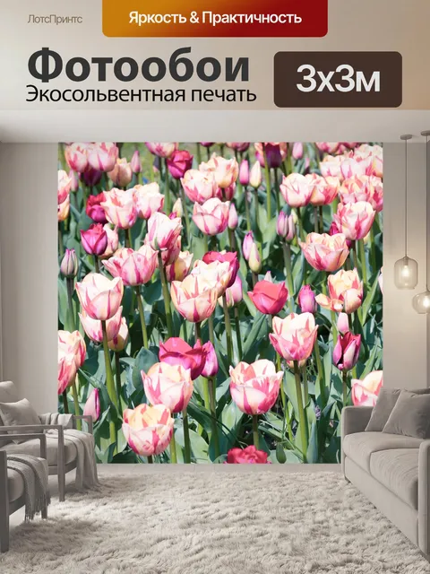 Фотообои Розовый