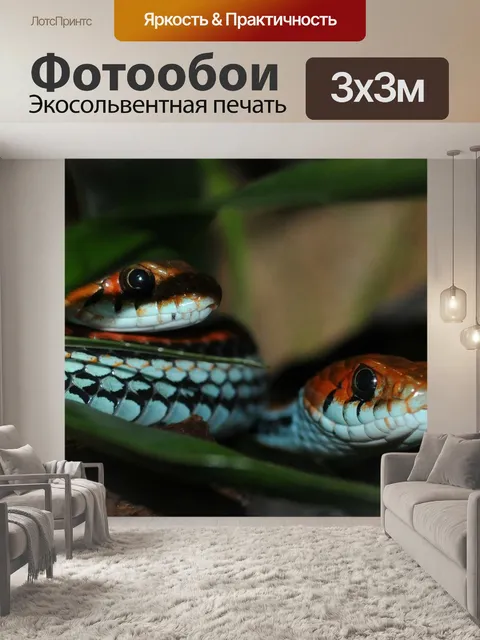 Фотообои Линия