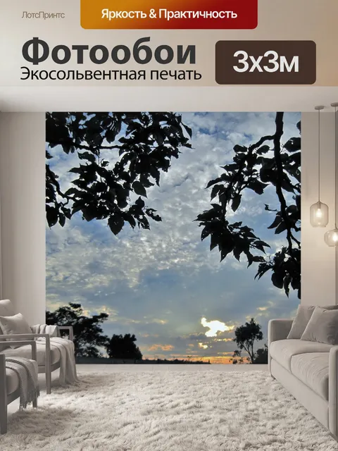 Фотообои листья и пасмурное небо