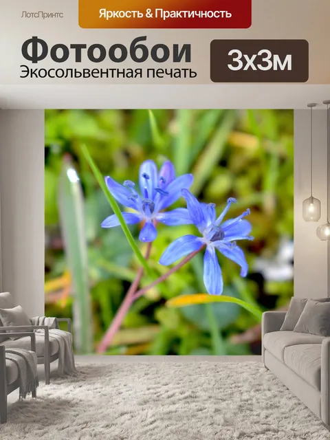 Фотообои Цветы
