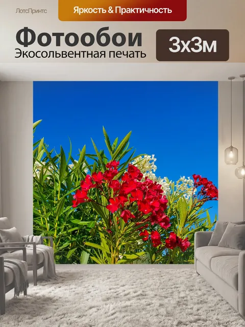 Фотообои Цветы олеандра