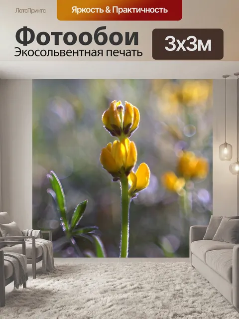 Фотообои Луг