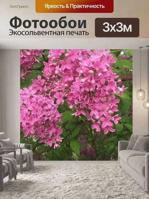 Фотообои Сирень