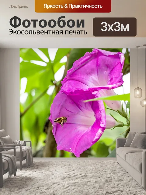 Фотообои Цветы