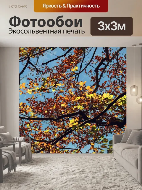 Фотообои Осенние листья