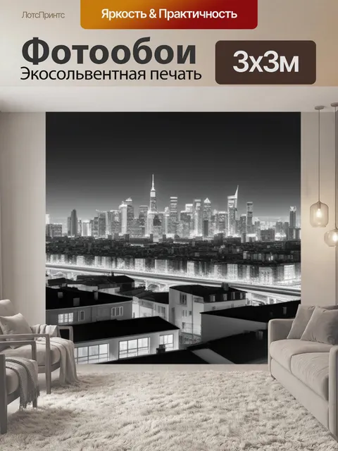 Фотообои пейзаж с видом города чернобелый