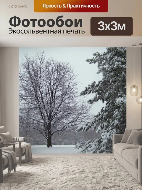 Фотообои Снег на деревьях