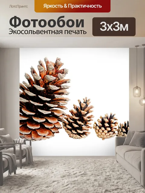 Фотообои шишки на белом фоне