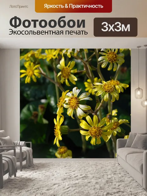 Фотообои Цветок
