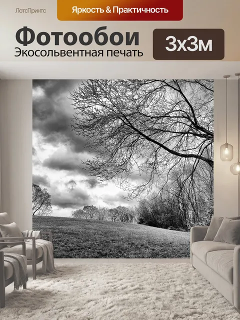 Фотообои Монохромный