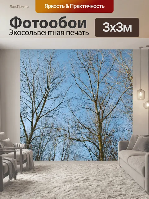 Фотообои Лес