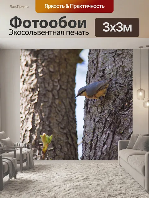 Фотообои Птица