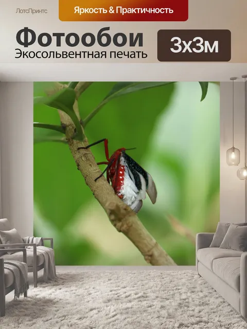 Фотообои Листья