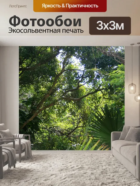 Фотообои под деревьями в тропическом саду