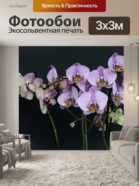 Фотообои Орхидеи