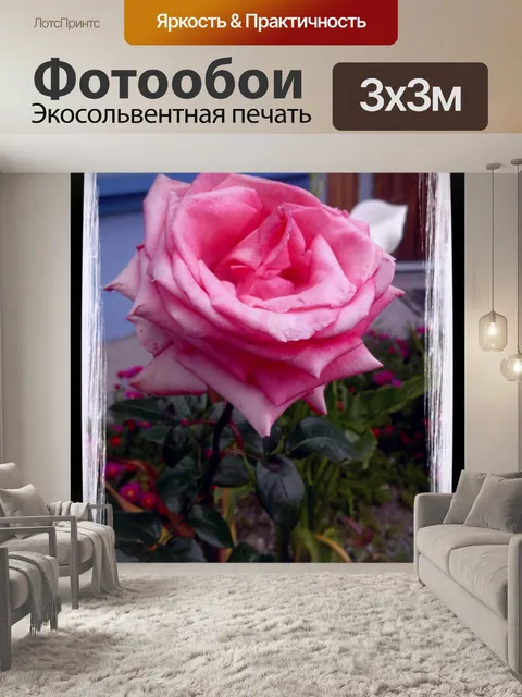 Фотообои Роуз