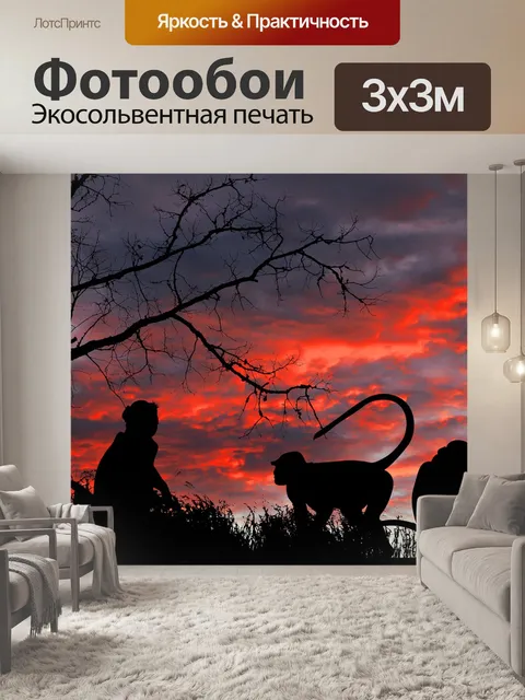 Фотообои Заход солнца