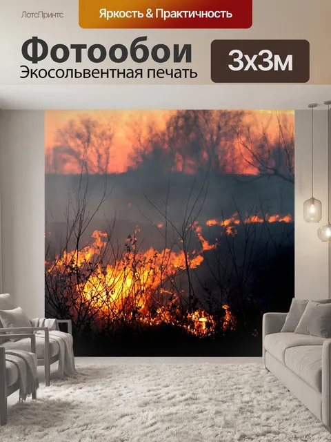Фотообои Пожар
