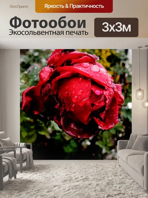 Фотообои Красная роза залитая дождем