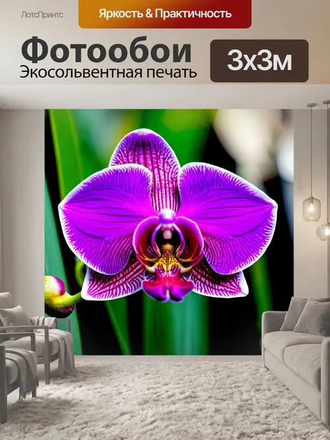 Фотообои орхидея, создающая эффект динамики и движения