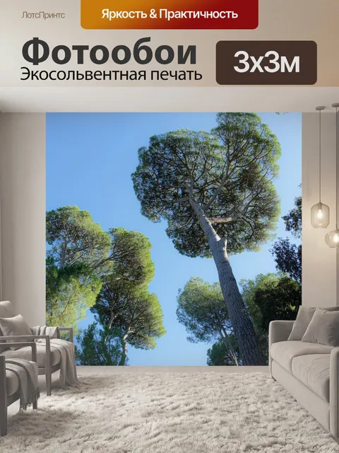 Фотообои Деревья