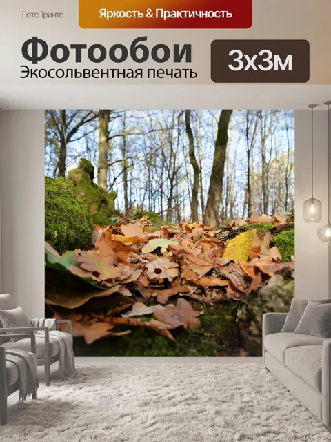 Фотообои Лес