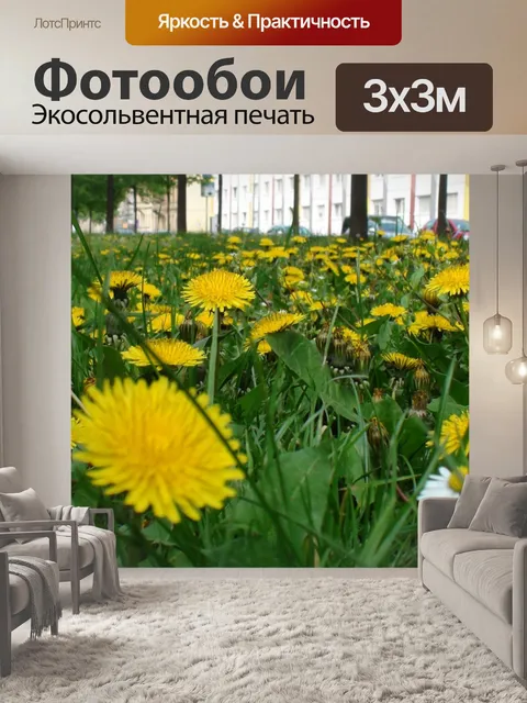 Фотообои Одуванчики