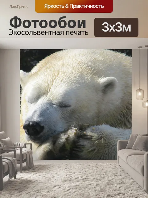Фотообои Полярный медведь