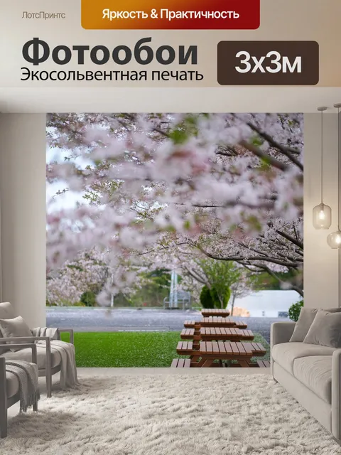 Фотообои Сакура