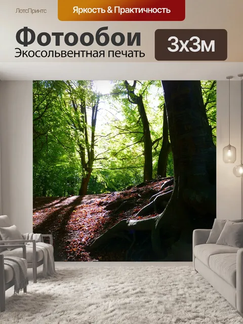 Фотообои Лес